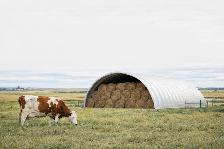 STEEL BUILDINGS-DURABLE-UNBEATABLE PRICES - Photo 10