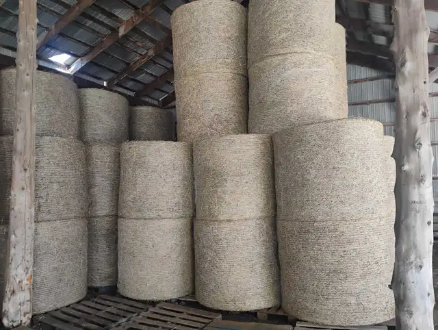 4x5 grassy horse hay