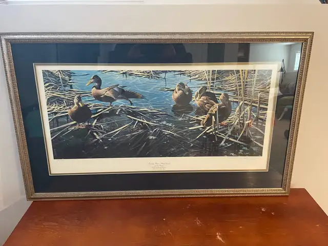 Limited Edition Print