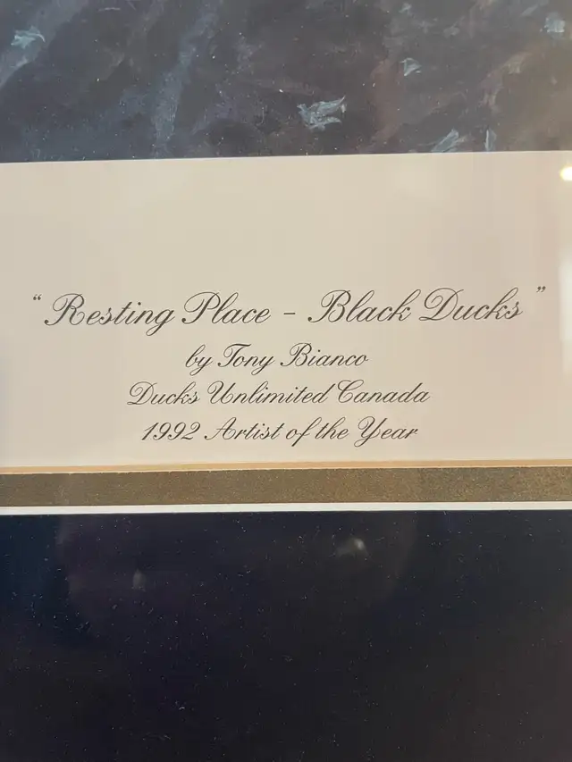 Limited Edition Print - Photo 2