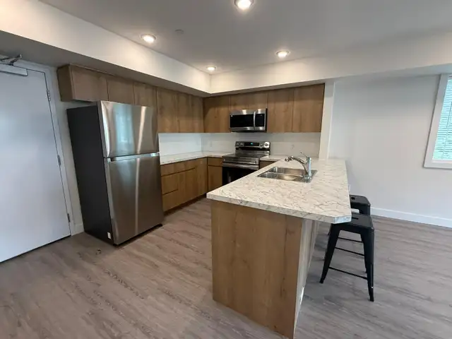 LIVING IN DOWNTOWN TERRACE - Photo 5