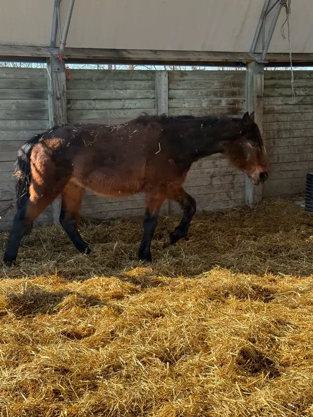 driver / English prospect - Photo 2