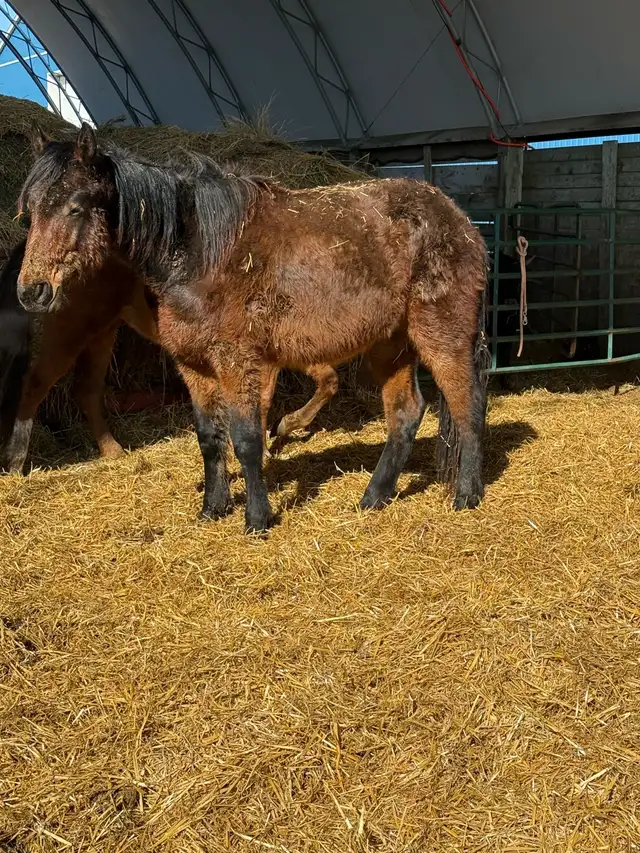 driver / English prospect - Photo 4