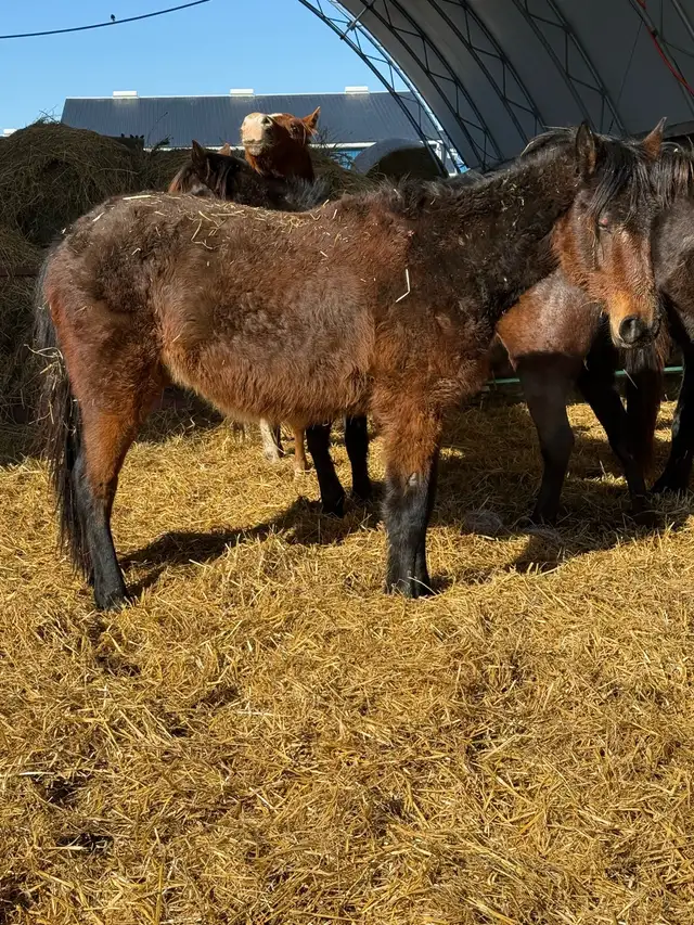 driver / English prospect - Photo 5