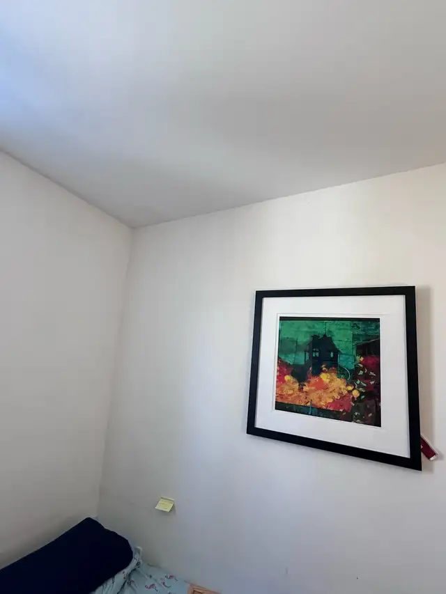 PRIVATE ROOM FOR RENT IN DOWNTOWN TORONTO - Photo 8