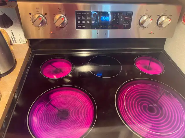 Samsung Electric Stove
