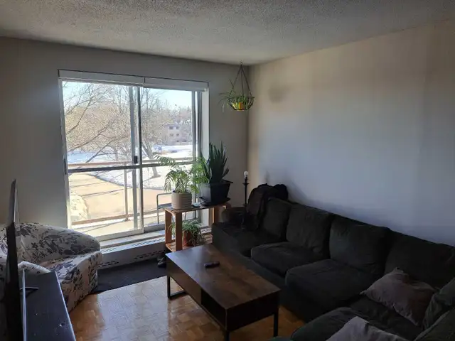 2bedroom 1 bath available May 1st - Photo 6