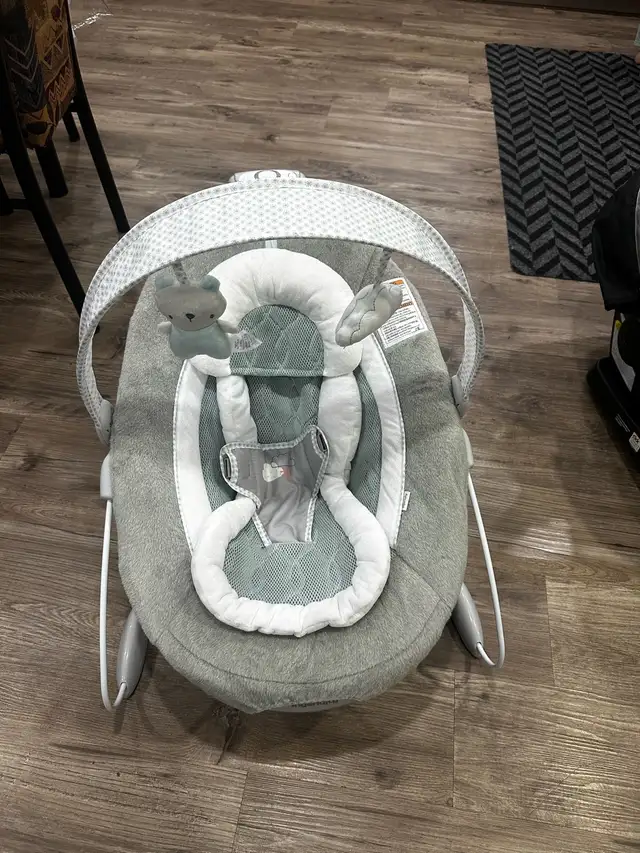 Baby Bouncer