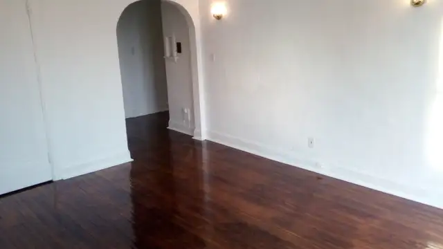 $1200 Large 1 bedroom apt. Jackson Park. Incl. Heat/Water. - Photo 3