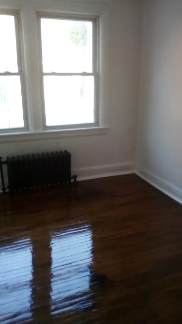 $1200 Large 1 bedroom apt. Jackson Park. Incl. Heat/Water. - Photo 4