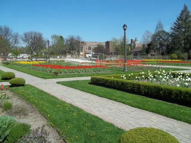 $1200 Large 1 bedroom apt. Jackson Park. Incl. Heat/Water. - Photo 8