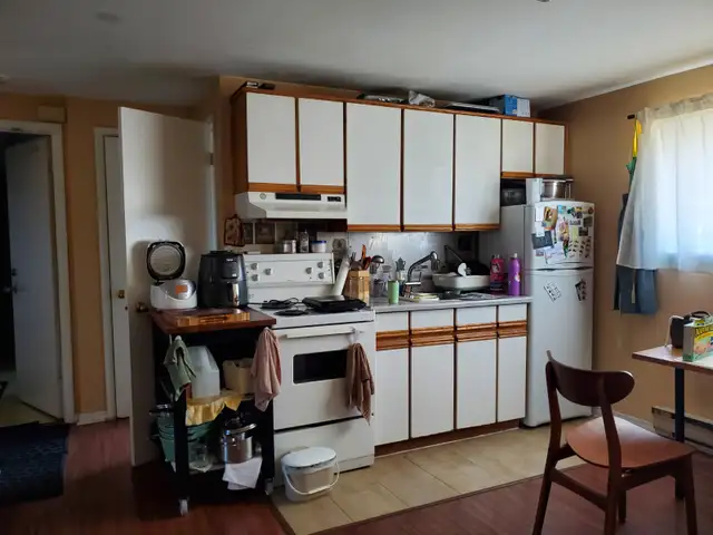 55 Lloyd George Ave - 1 Bedroom Basement Apartment For Rent - Photo 4