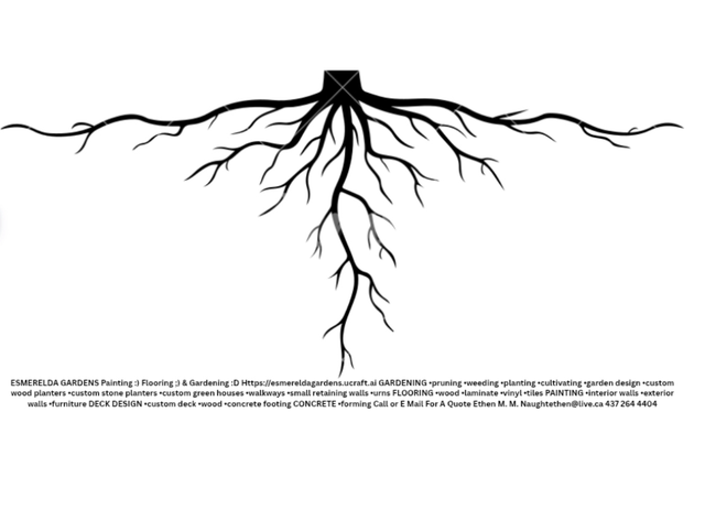 Esmerelda Paint&Contract - Photo 2