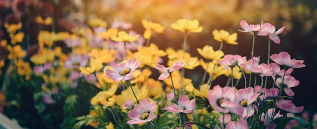 Esmerelda Paint&Contract - Photo 8