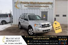 2008 Ford Escape XLT - No Accident