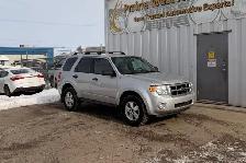 2008 Ford Escape XLT - No Accident - Photo 3
