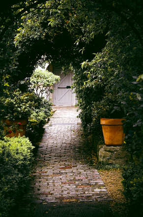 Esmerelda Paint & Contract - Photo 10