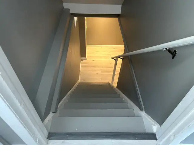 Recently Renovated Duplex Unit for Rent - Photo 10