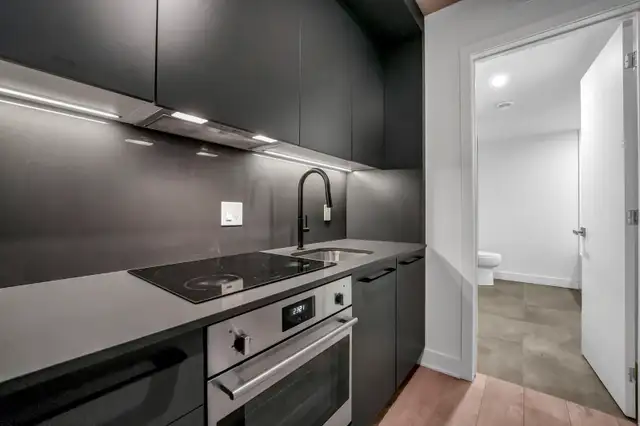 Luxury Condominium Available for Rent - Photo 3