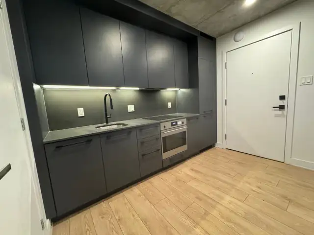 Luxury Condominium Available for Rent - Photo 9