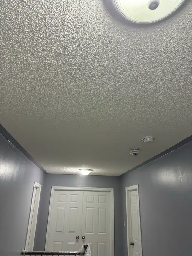 Popcorn removal , taping-mudding, house painting - Photo 7