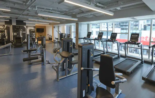 Alma Byward Market - Lease Takeover  - RENT DISCOUNT - Photo 7