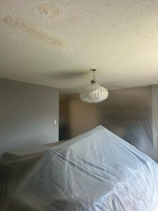 House painting, Popcorn removal and Taping mudding - Photo 2