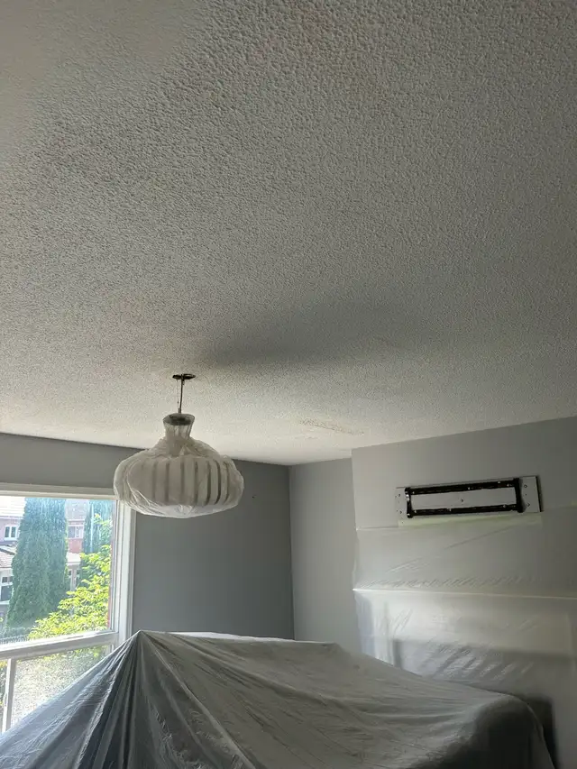 House painting, Popcorn removal and Taping mudding - Photo 3