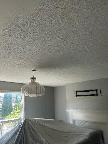 House painting, Popcorn removal and Taping mudding - Photo 3