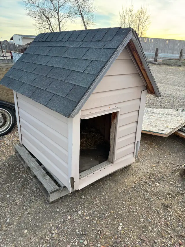 Dog house