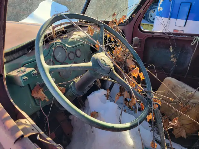 B Model Mack - Photo 4