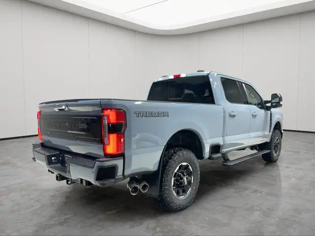 2026 Ford Super Duty F-350 SRW Platinum - Photo 6