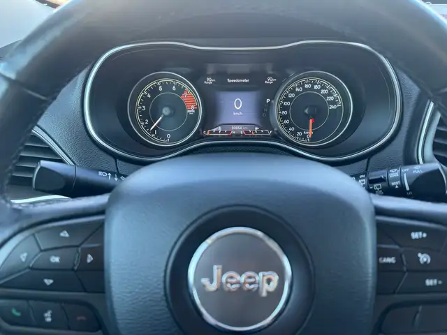 2019 Jeep Cherokee Trailhawk - Photo 14
