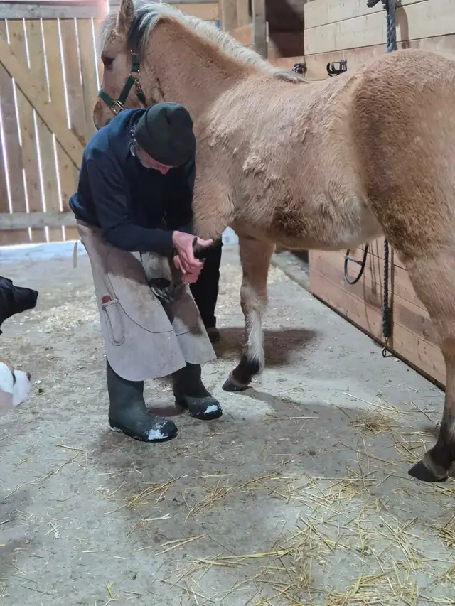 Barefoot Trims - Photo 2