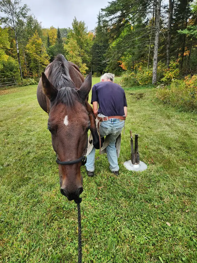 Barefoot Trims - Photo 3