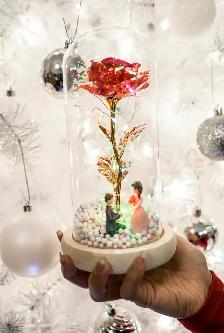 Galaxy Rose / Rose Bear — Valentine's Special Gift