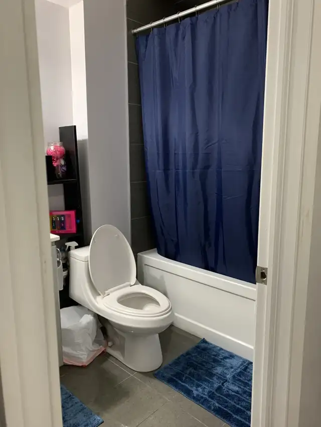 1 Bedroom Basement Apartment – Single/Couple - Photo 5