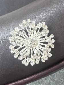 Brooches for Dresses