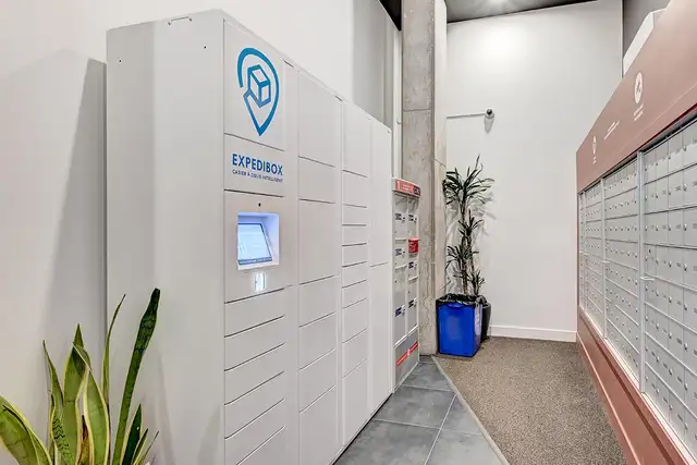 Dominik Apartments - 3 Bedroom available at 1255 rue Saint-Domin - Photo 11