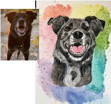 Custom Watercolour Pet Portraits