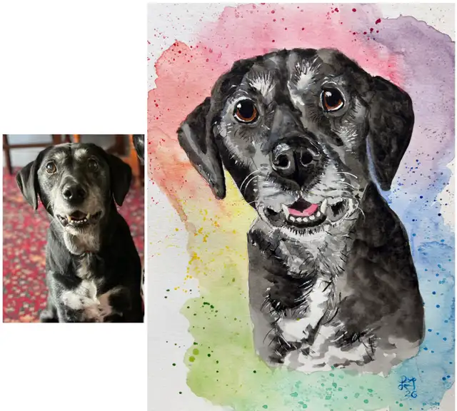 Custom Watercolour Pet Portraits - Photo 4