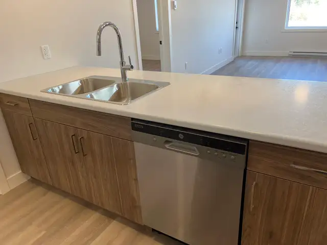 2 bedrooms, 2 baths Move in Ready - Photo 4