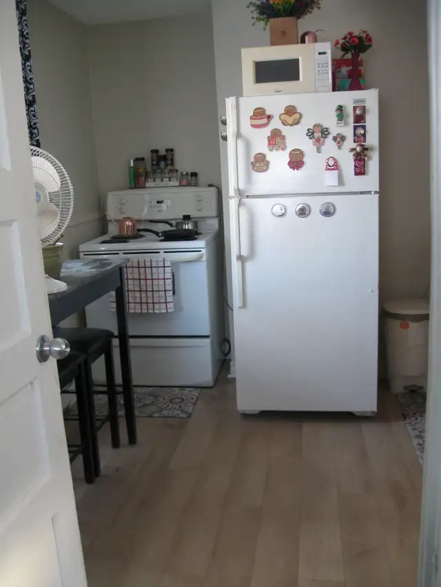 Studio Bachelor Apartment for Rent for March 1st in Bible Hill - Photo 2