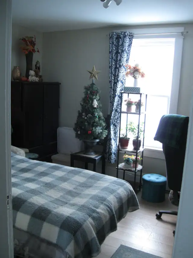 Studio Bachelor Apartment for Rent for March 1st in Bible Hill - Photo 6