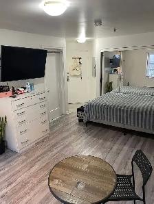 ✨  STUDIO DE LUXE MEUBLÉ –  MÉTRO PAPINEAU ✨