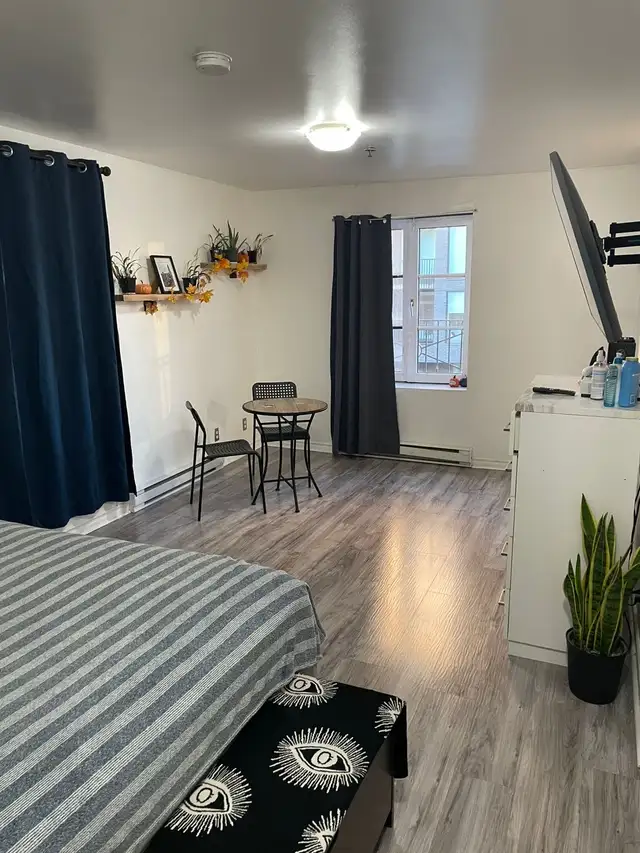 ✨  STUDIO DE LUXE MEUBLÉ –  MÉTRO PAPINEAU ✨ - Photo 2
