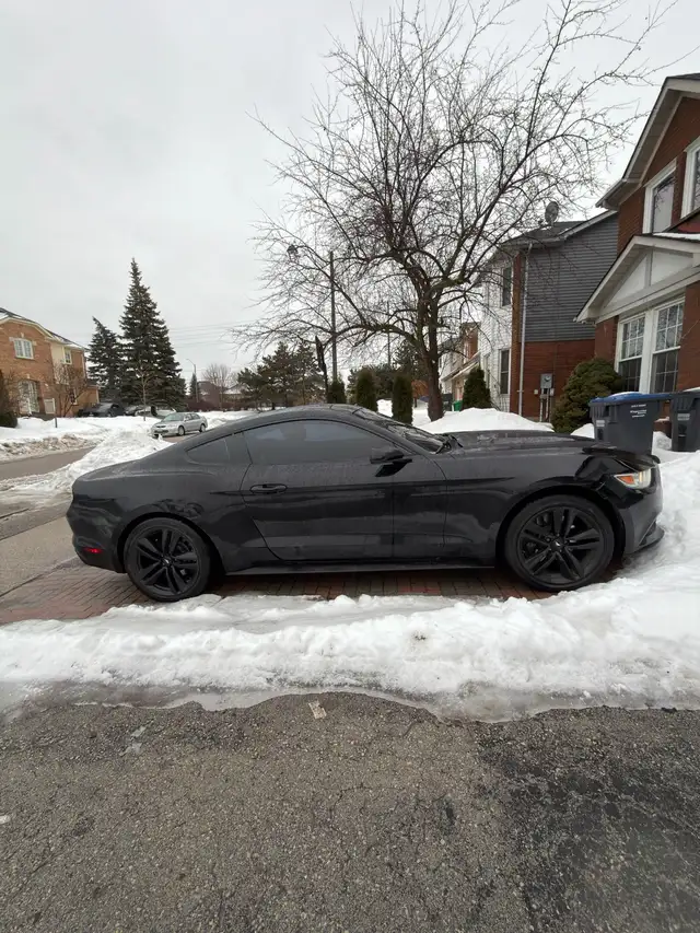 Mustang Eco Boost - Photo 3