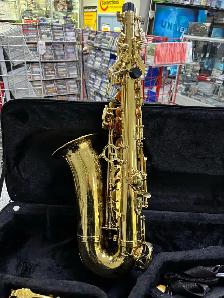 Artemis A1 Alto Saxophone With Case - Photo 5