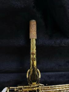 Artemis A1 Alto Saxophone With Case - Photo 7