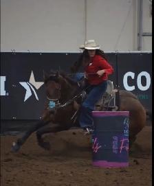 BARREL RACING TRAINING, TUNE UP, CONDITIONING - Photo 2